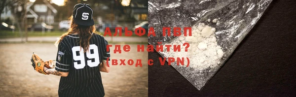 гидра Алексин