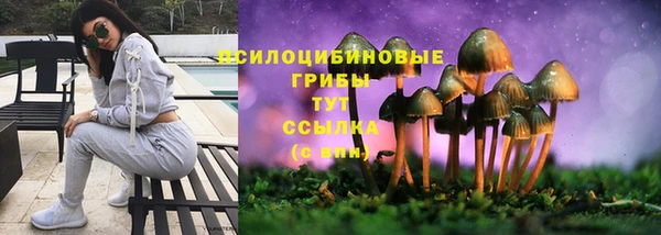spice Алексеевка